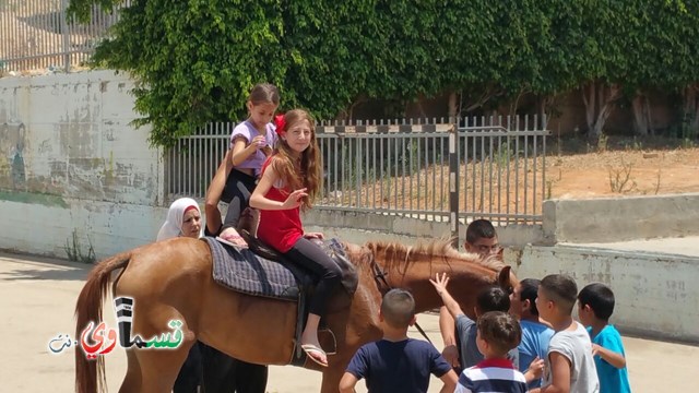 كفرقاسم - فيديو  : تعليم هواية ركوب الخيل في مدرسة جنة ابن رشد في اليوم الرابع لصيف الصادقة 